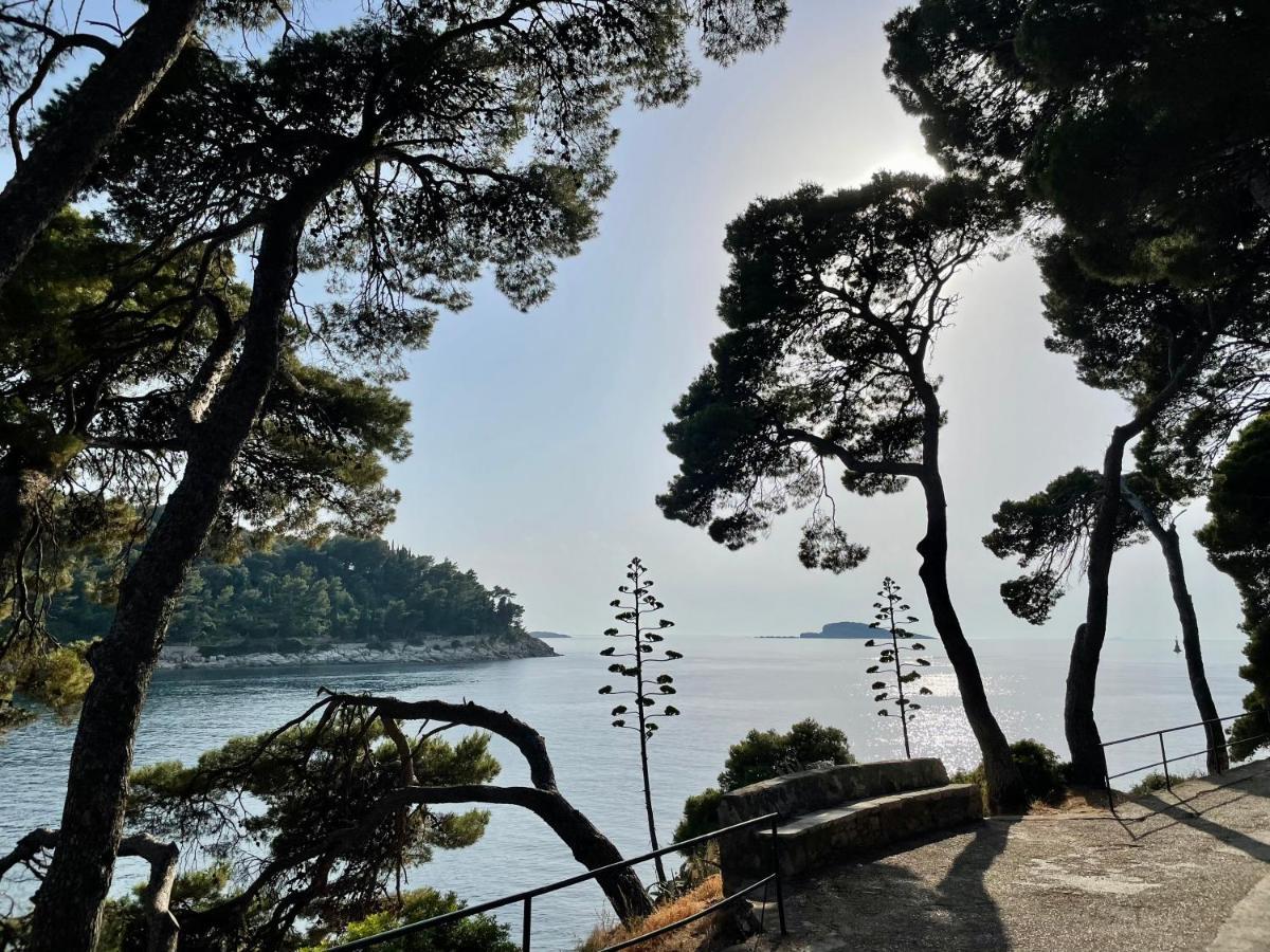 Villa Lizza Cavtat Esterno foto